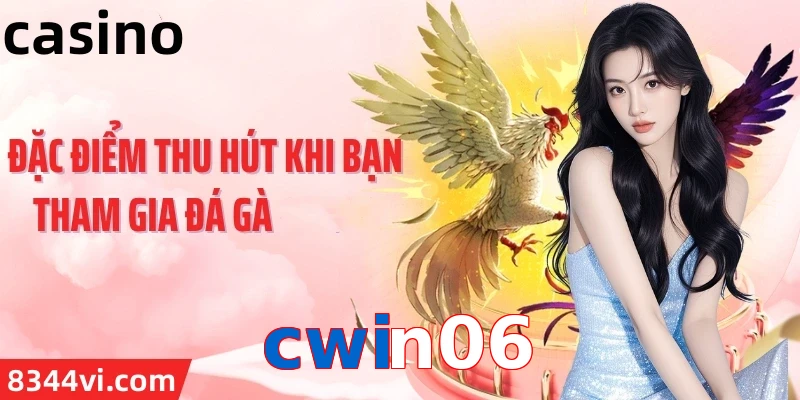 cwin06